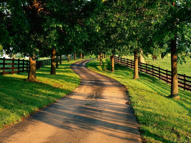 攻击网站的方法